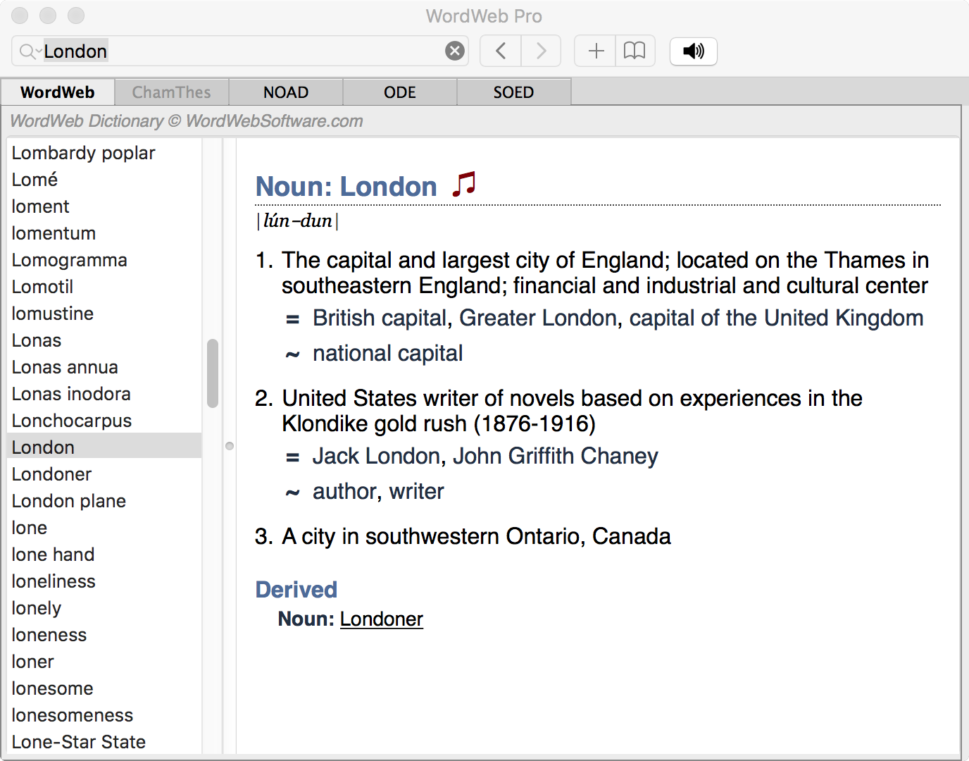 WordWeb Pro word relationships